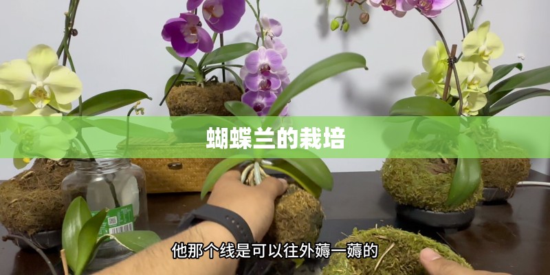 茶叶花对蜜蜂有害吗？