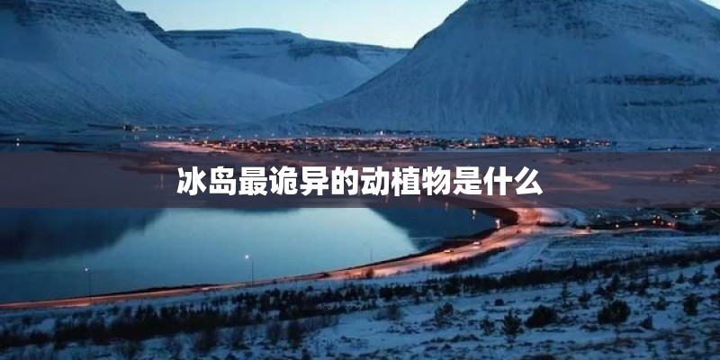 冰岛最诡异的动植物是什么