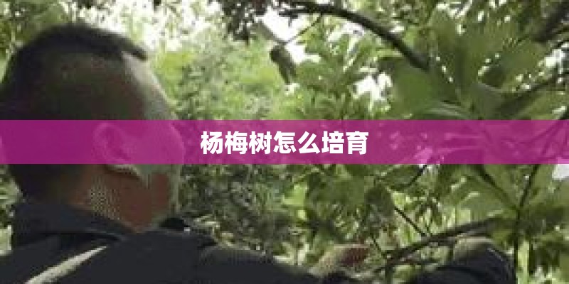 簿荷的作用_1