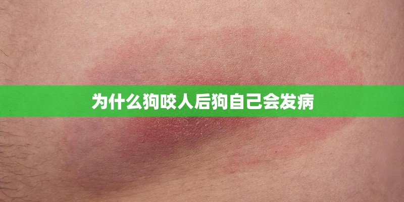 哈佛h6怎么样？