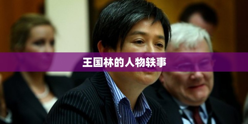 王国林的人物轶事