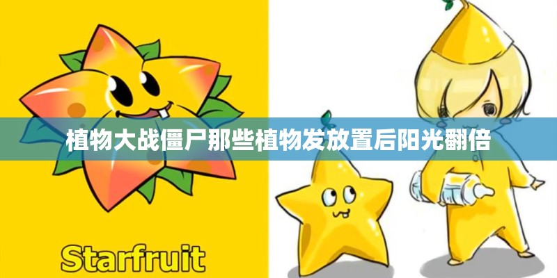 植物大战僵尸那些植物发放置后阳光翻倍