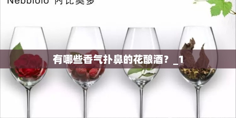 家庭日常栽培灵芝盆景的方法