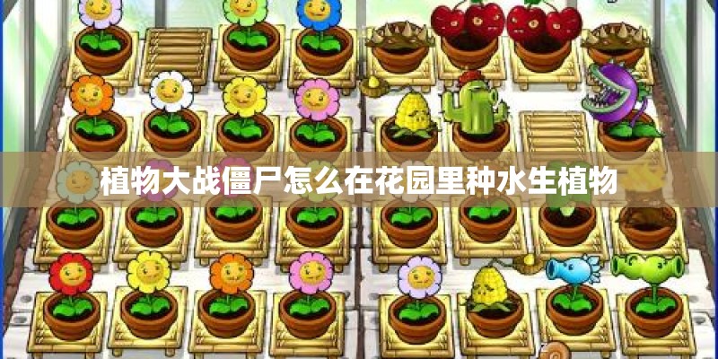 植物大战僵尸怎么在花园里种水生植物