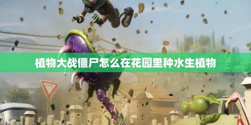 植物大战僵尸怎么在花园里种水生植物