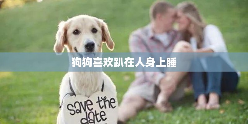 狗狗喜欢趴在人身上睡
