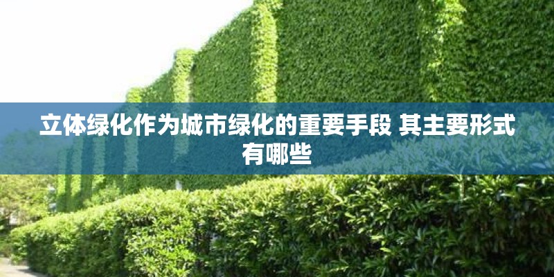 立体绿化作为城市绿化的重要手段 其主要形式有哪些 立体绿化作为城市绿化的重要手段 其主要形式有哪些