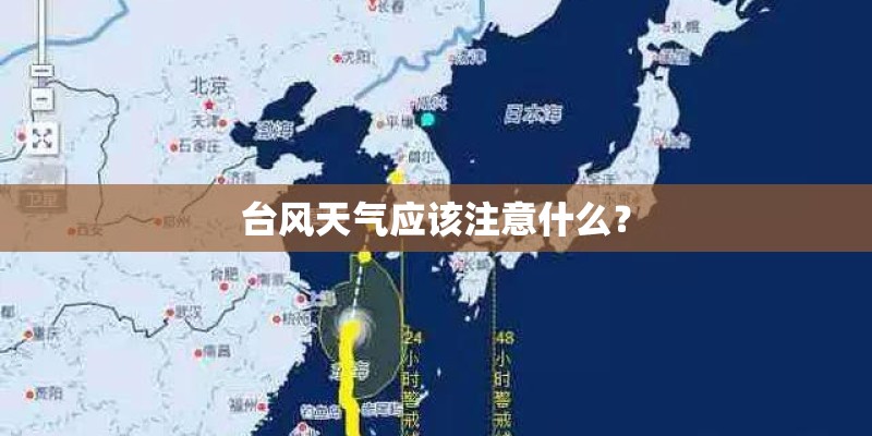 台风天气应该注意什么？