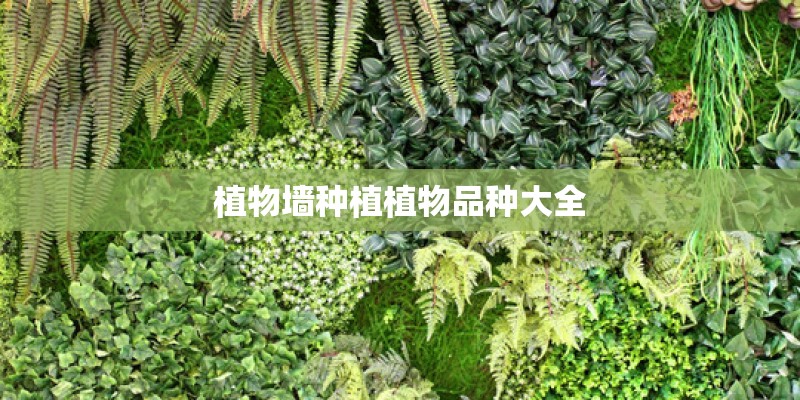 小狗肠胃炎用什么药