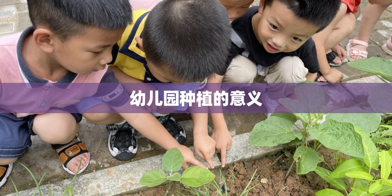 幼儿园种植的意义