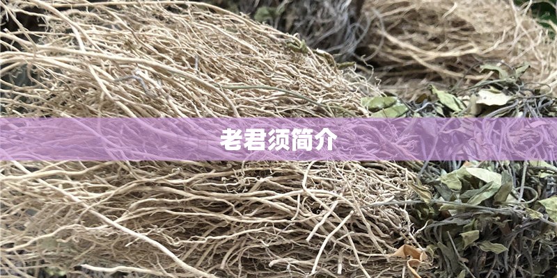 狗怀孕几个月生小狗