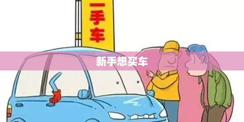 新手想买车 新手想买车