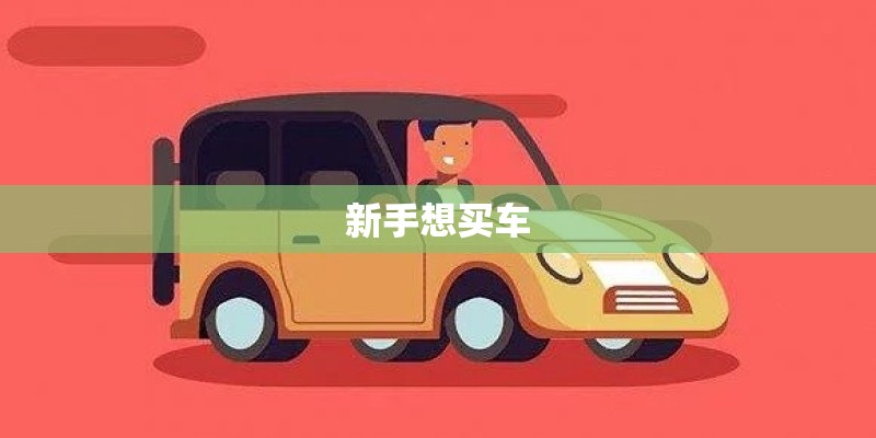 新手想买车 新手想买车