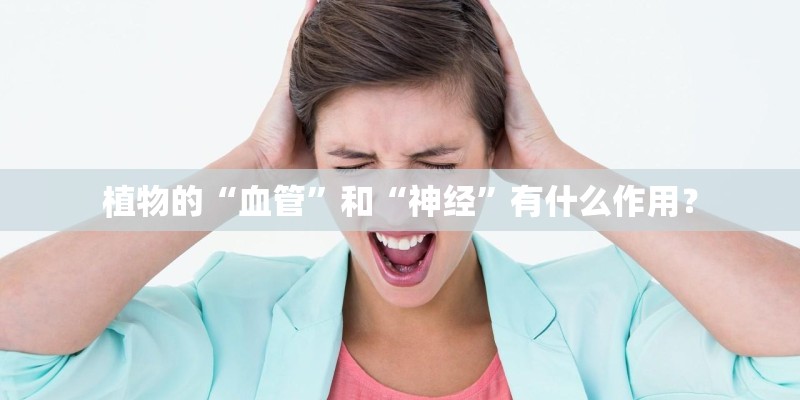 植物的“血管”和“神经”有什么作用? 植物的“血管”和“神经”有什么作用?