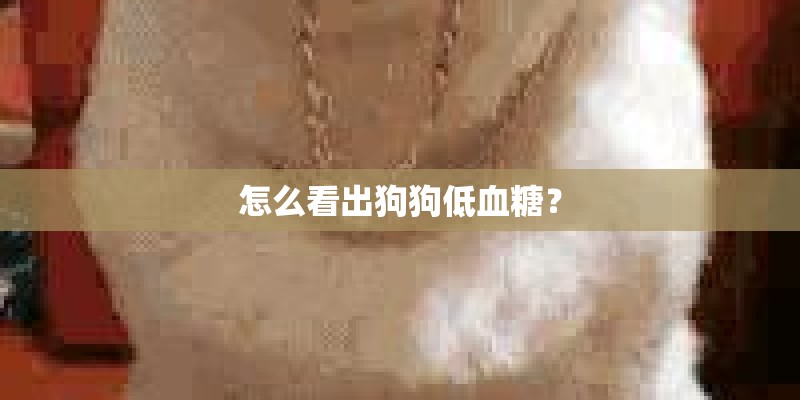 怎么看出狗狗低血糖? 怎么看出狗狗低血糖?
