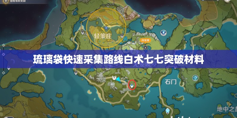琉璃袋快速采集路线白术七七突破材料 琉璃袋快速采集路线白术七七突破材料