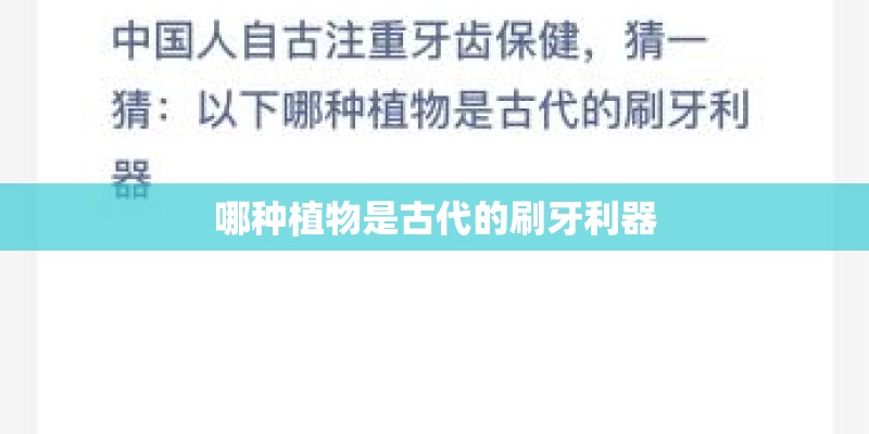 哪种植物是古代的刷牙利器 哪种植物是古代的刷牙利器