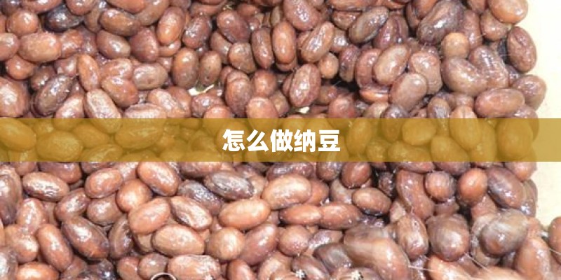 怎么做纳豆 怎么做纳豆