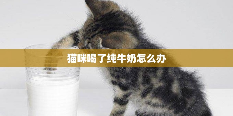 营养土可以直接种花吗（营养土种花的正确使用技巧）
