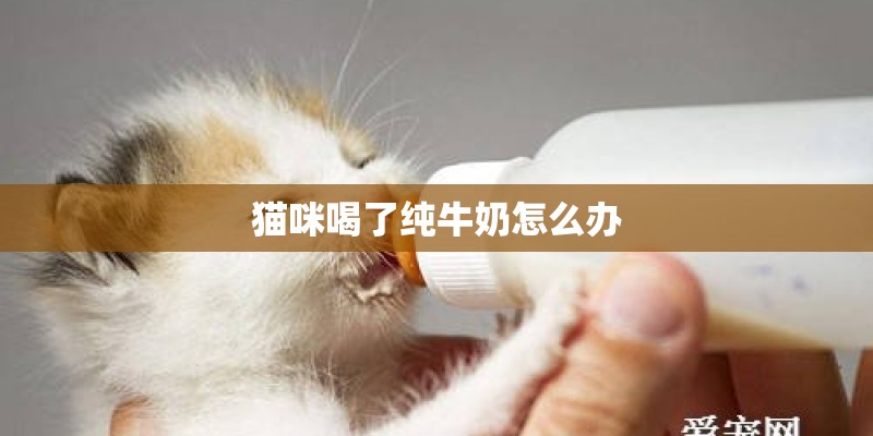 猫咪喝了纯牛奶怎么办