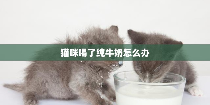 猫咪喝了纯牛奶怎么办