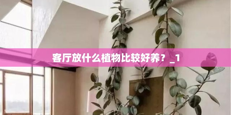 客厅放什么植物比较好养?_1 客厅放什么植物比较好养?_1