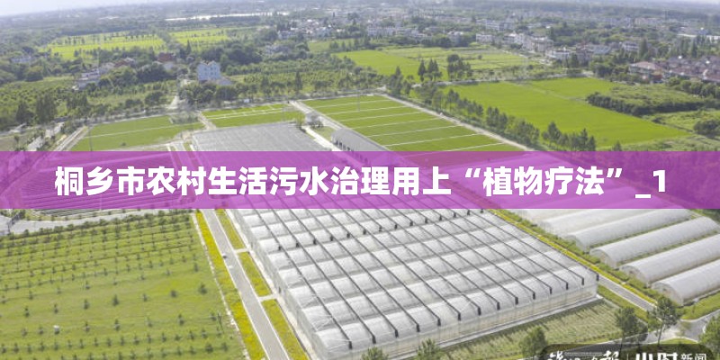 桐乡市农村生活污水治理用上“植物疗法”_1 桐乡市农村生活污水治理用上“植物疗法”_1