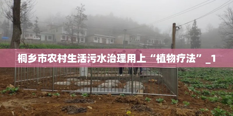 桐乡市农村生活污水治理用上“植物疗法”_1 桐乡市农村生活污水治理用上“植物疗法”_1
