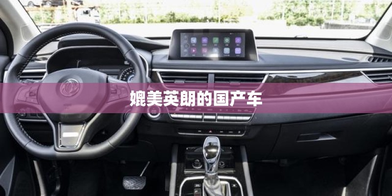 媲美英朗的国产车
