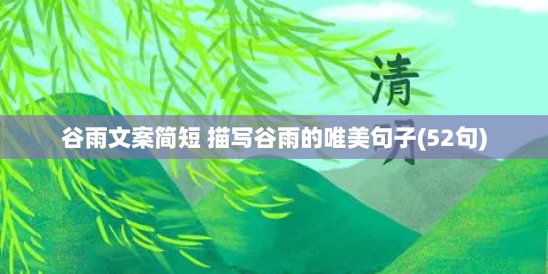 谷雨文案简短 描写谷雨的唯美句子(52句) 谷雨文案简短 描写谷雨的唯美句子(52句)