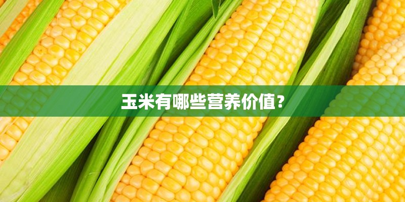 玉米有哪些营养价值? 玉米有哪些营养价值?