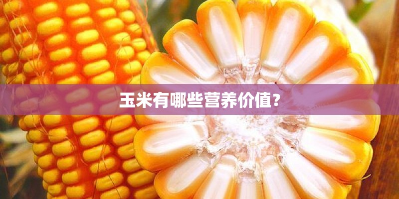 玉米有哪些营养价值? 玉米有哪些营养价值?