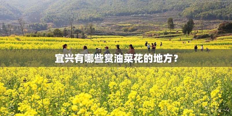 宜兴有哪些赏油菜花的地方？
