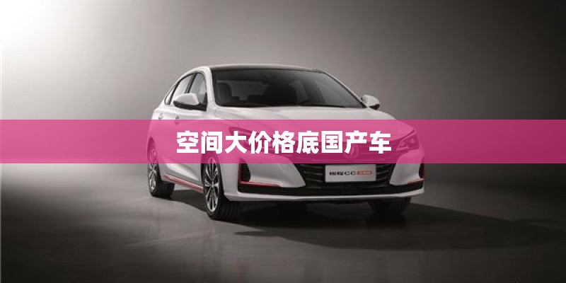 空间大价格底国产车