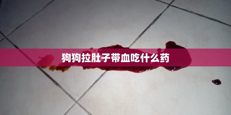 狗狗拉肚子带血吃什么药