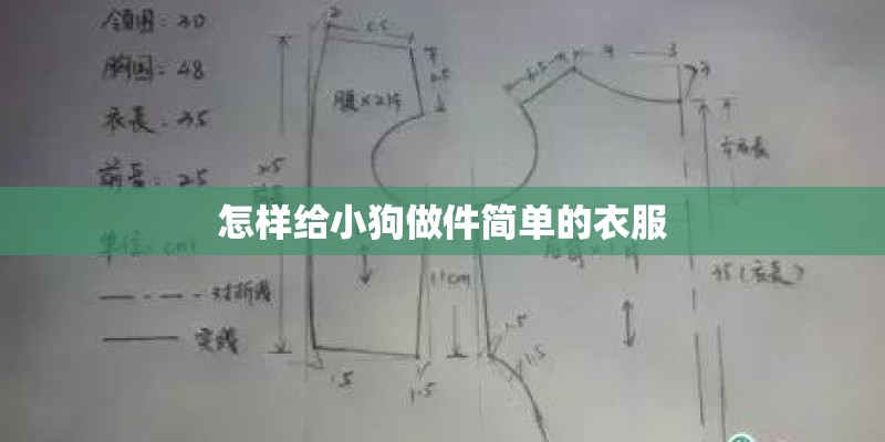 怎样给小狗做件简单的衣服