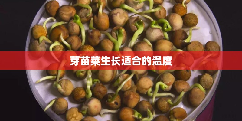 芽苗菜生长适合的温度
