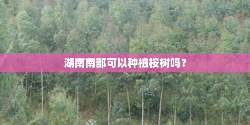 湖南南部可以种植桉树吗？