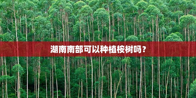 湖南南部可以种植桉树吗? 湖南南部可以种植桉树吗?