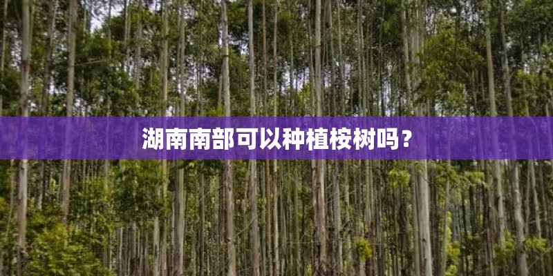 湖南南部可以种植桉树吗? 湖南南部可以种植桉树吗?