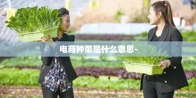 电商种菜是什么意思- 电商种菜是什么意思-