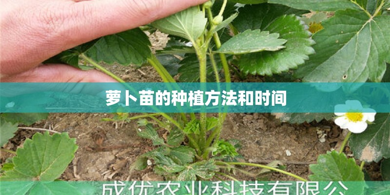 梦见母亲种茄子的预兆 梦见母亲种茄子的预兆
