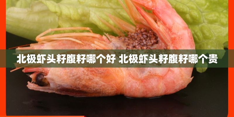 北极虾头籽腹籽哪个好 北极虾头籽腹籽哪个贵