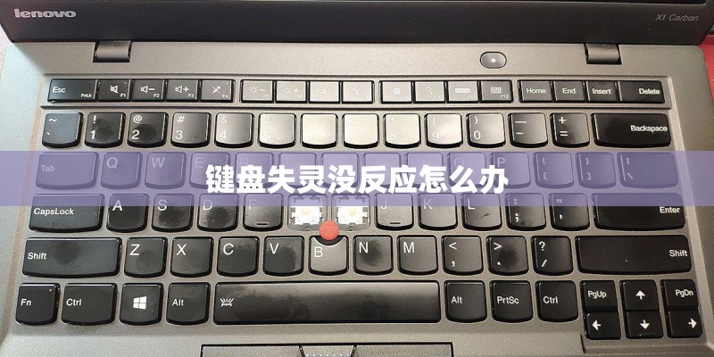 键盘失灵没反应怎么办 键盘失灵没反应怎么办