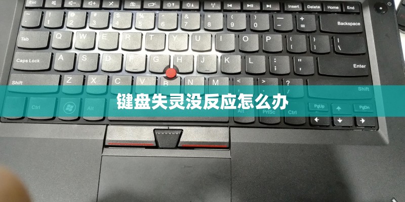 键盘失灵没反应怎么办 键盘失灵没反应怎么办