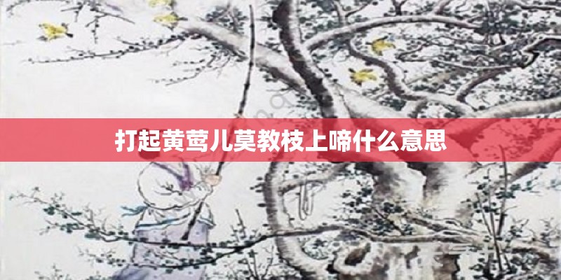 打起黄莺儿莫教枝上啼什么意思