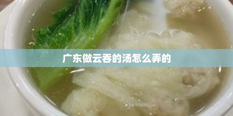 广东做云吞的汤怎么弄的 广东做云吞的汤怎么弄的