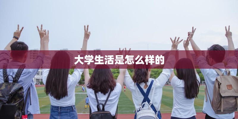 大学生活是怎么样的