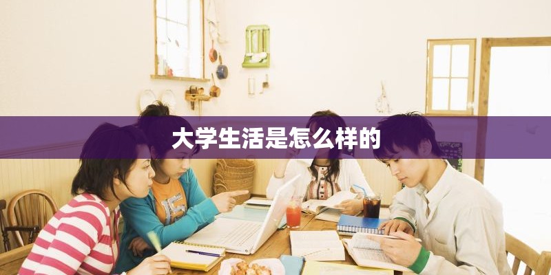 大学生活是怎么样的