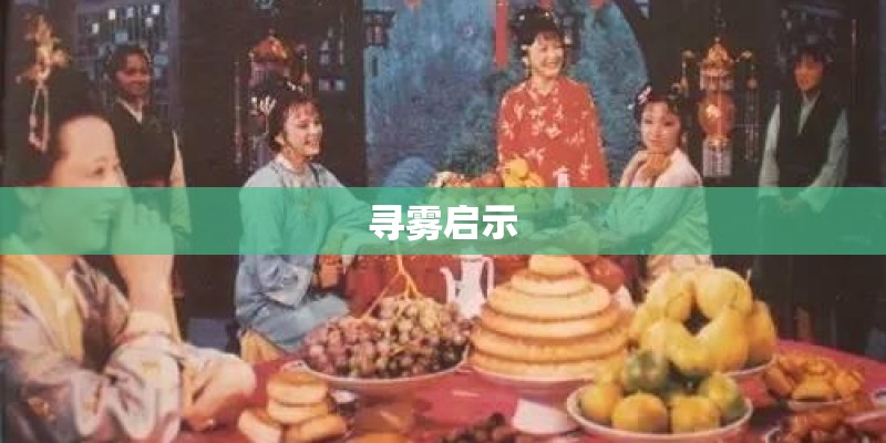 寻雾启示